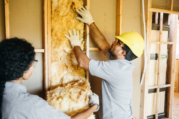 Best Insulation for New Construction  in Hyrum, UT